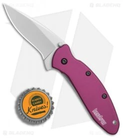Kershaw Scallion Assisted Opening Knife Purple (2.25" Bead Blast) 1620PUR -Knife Promotion Shop Kershaw Scallion purple bb BHQ 14804 er bottlecap