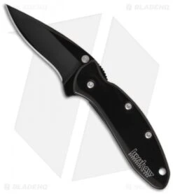 Kershaw Chive Assisted Opening Knife Black (1.94" Black) 1600BLK